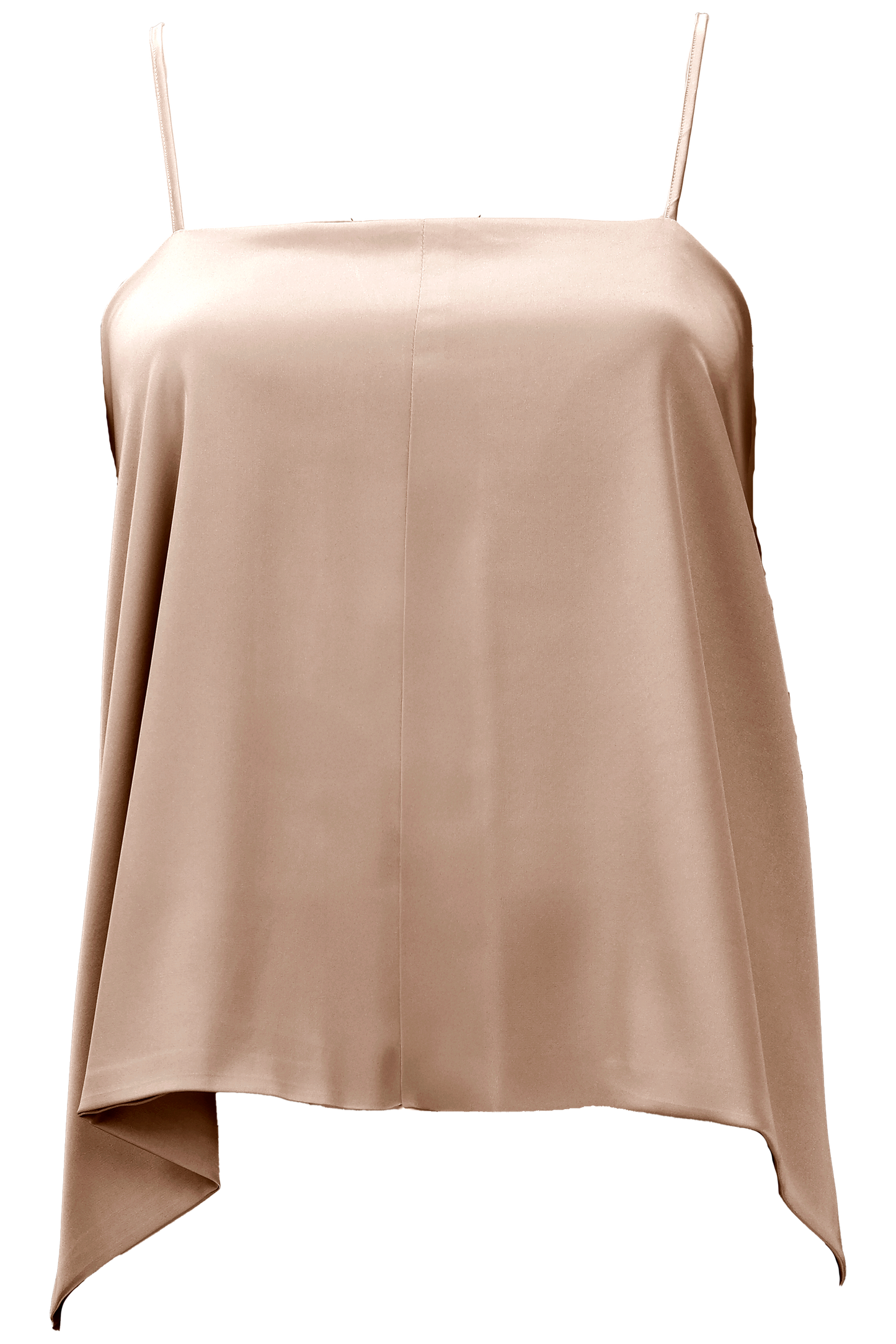 Aster Leptir Top