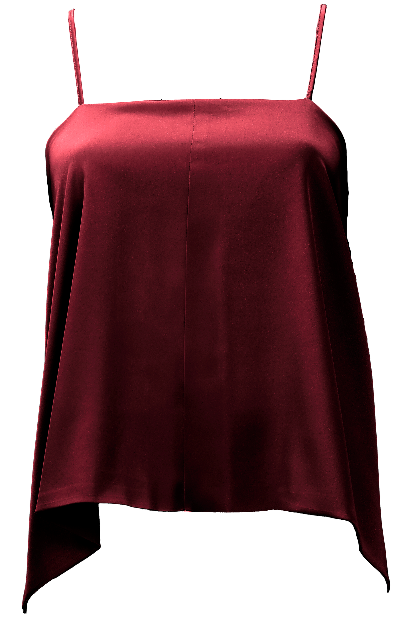 Aster Leptir Top