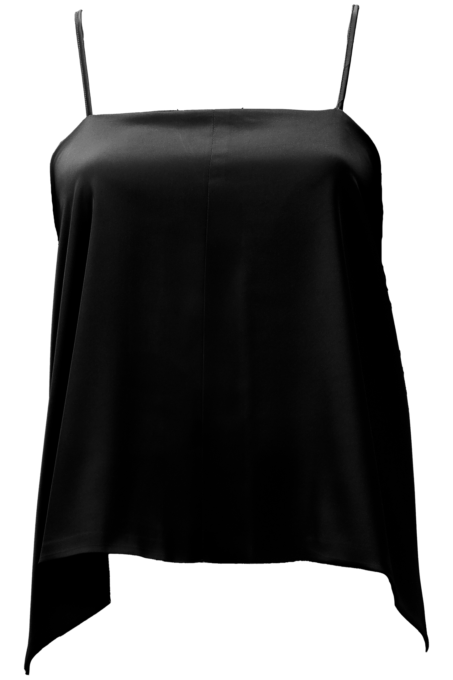 Aster Leptir Top