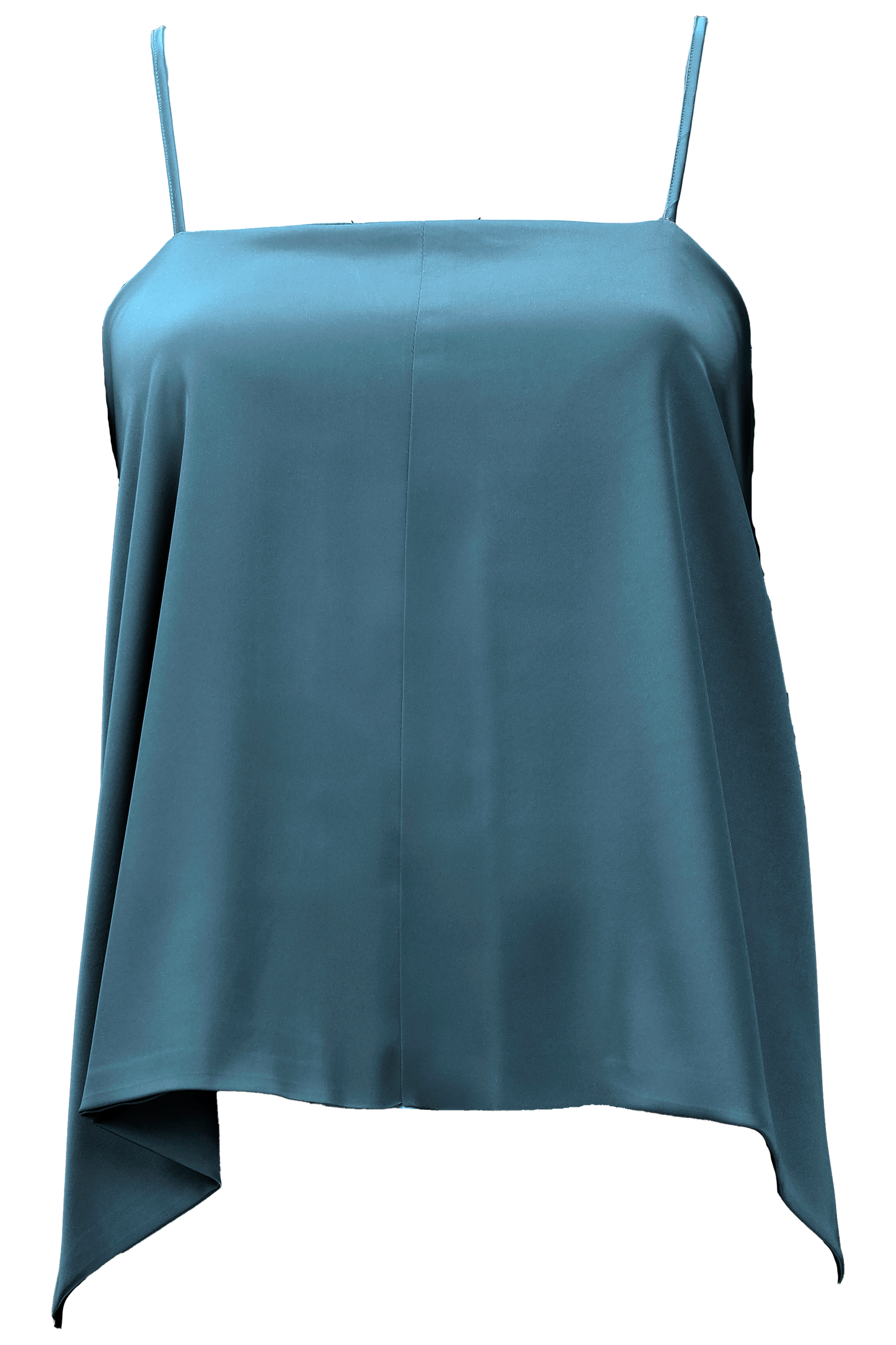 Aster Leptir Top