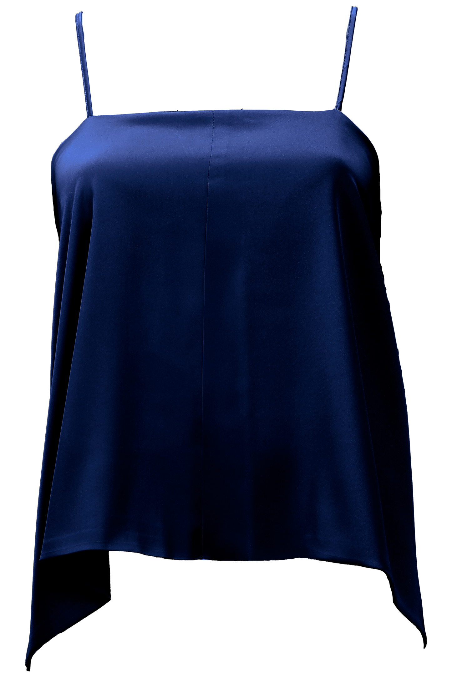 Aster Leptir Top