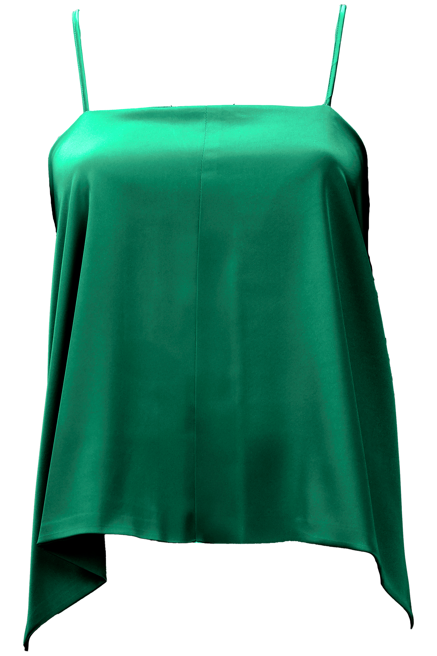 Aster Leptir Top