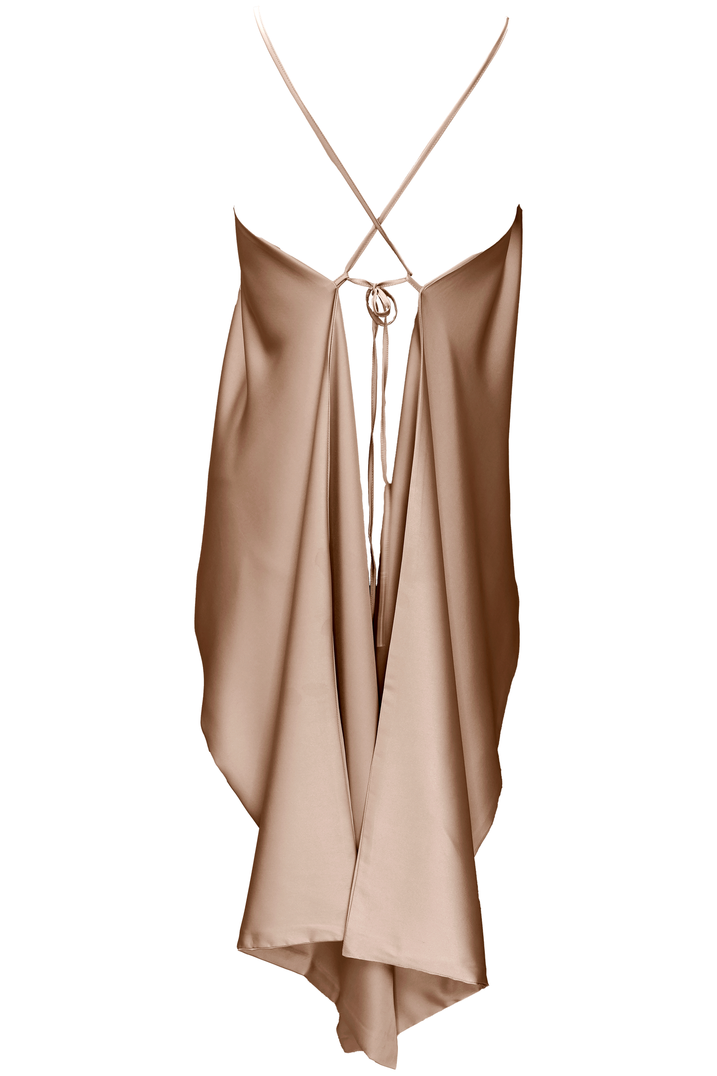 Aster Leptir Top
