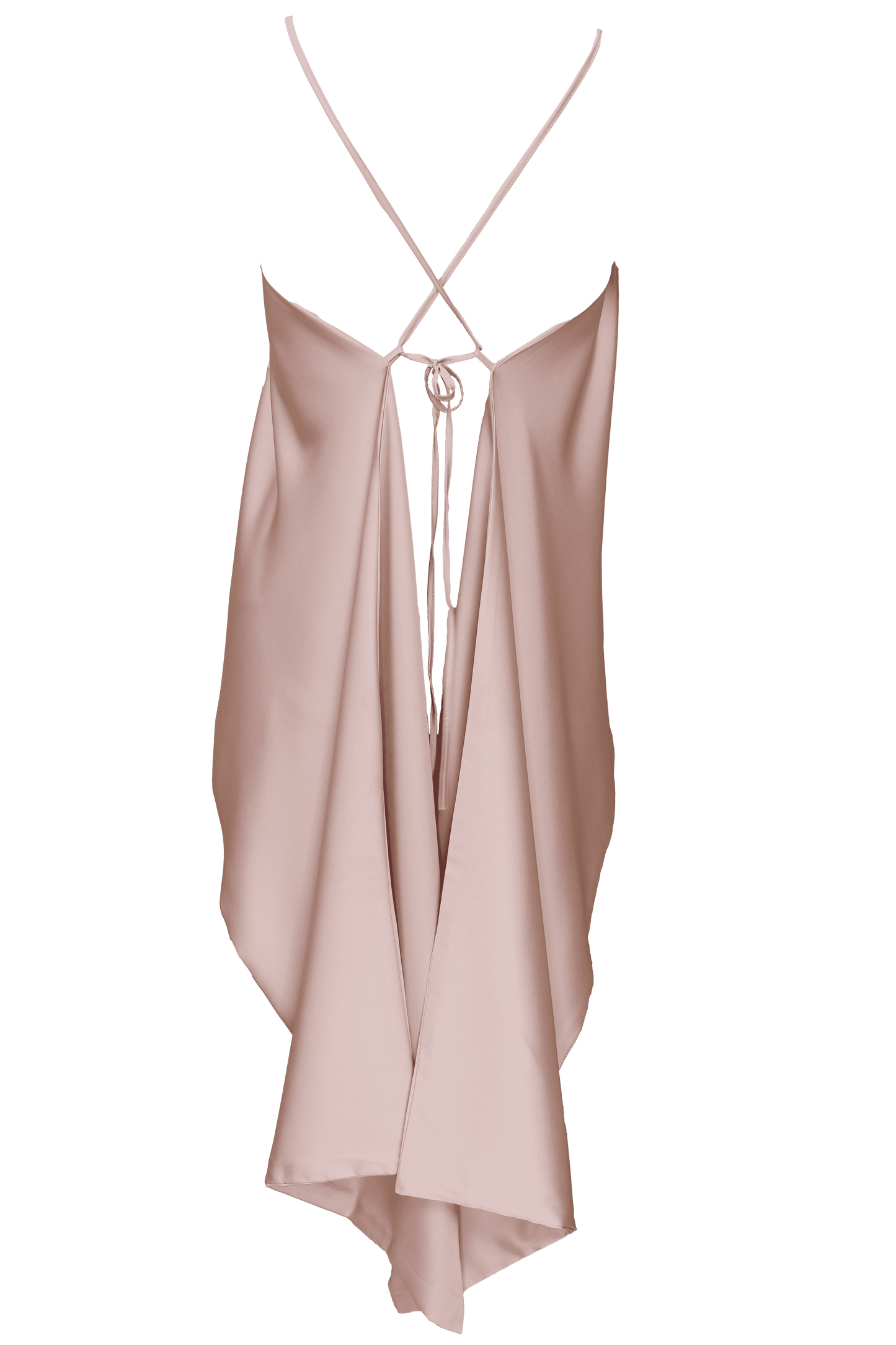 Aster Leptir Top
