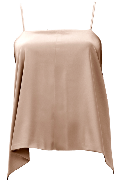Aster Leptir Top