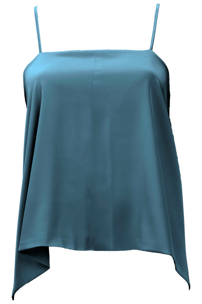 Aster Leptir Top