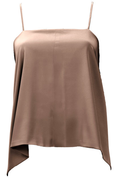 Aster Leptir Top