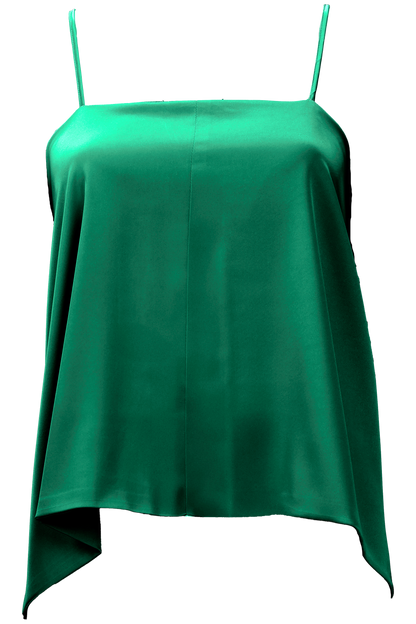 Aster Leptir Top