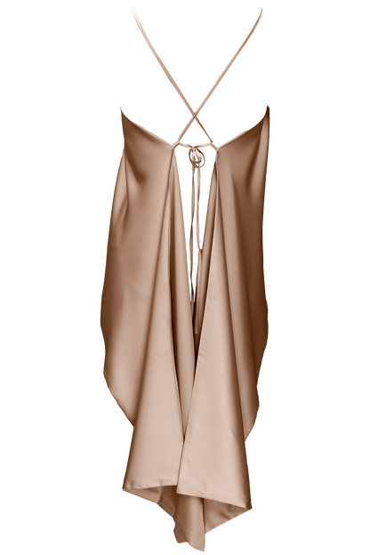 Aster Leptir Top